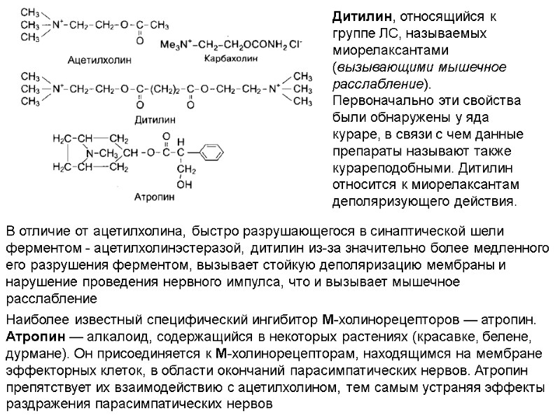 Дитилин, относящийся к группе ЛС, называемых миорелаксантами (вызывающими мышечное расслабление). Первоначально эти свойства были